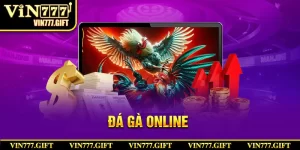 ảnh đại diện đá gà online