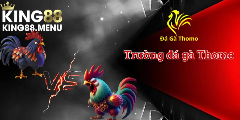 Xem đá gà Thomo trực tiếp