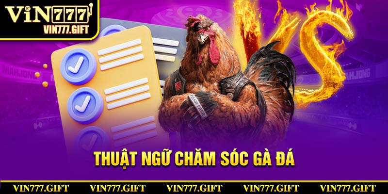 Thuật ngữ chọi kê trong cách chăm sóc