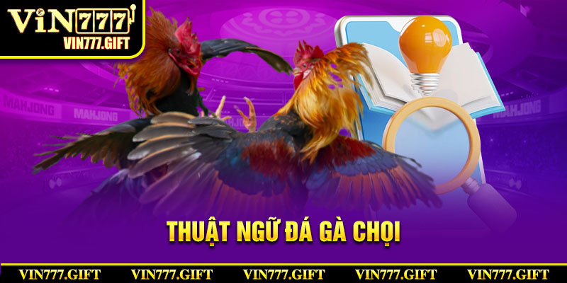 Thuật ngữ đá gà khi thi đấu