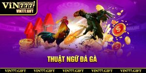 ảnh đại diện thuật ngữ đá gà